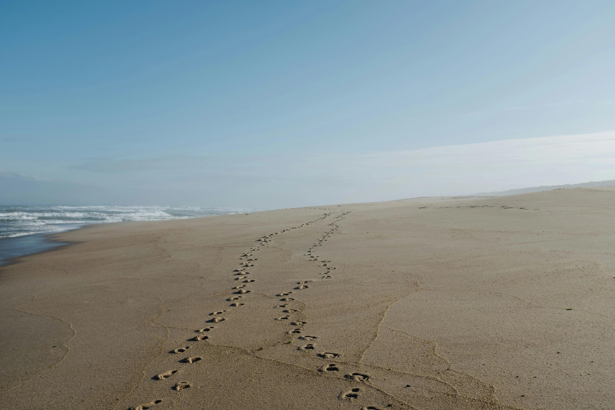 Fotspor i sand langs stranden