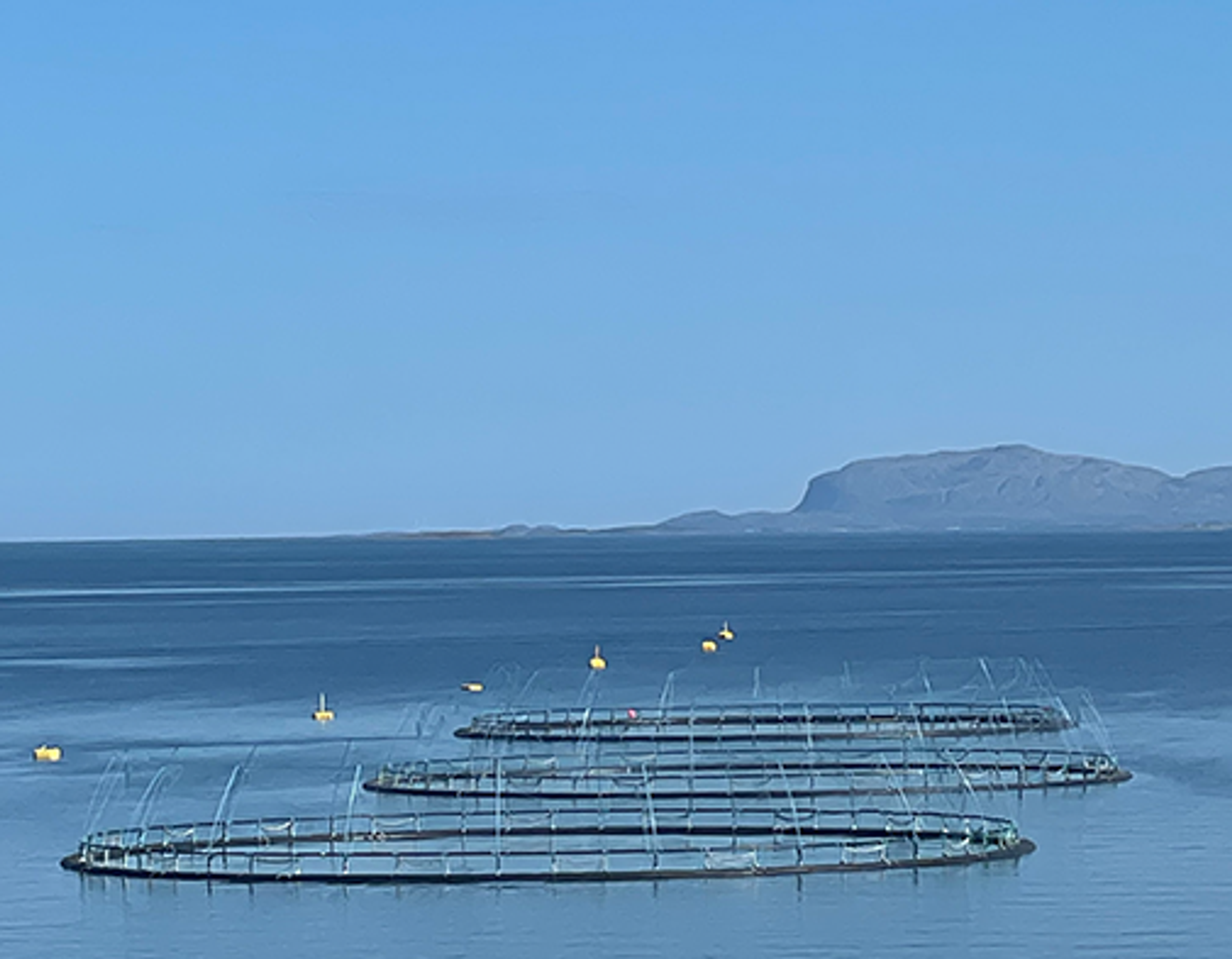 Fiskeppdrettsannlegg i havet