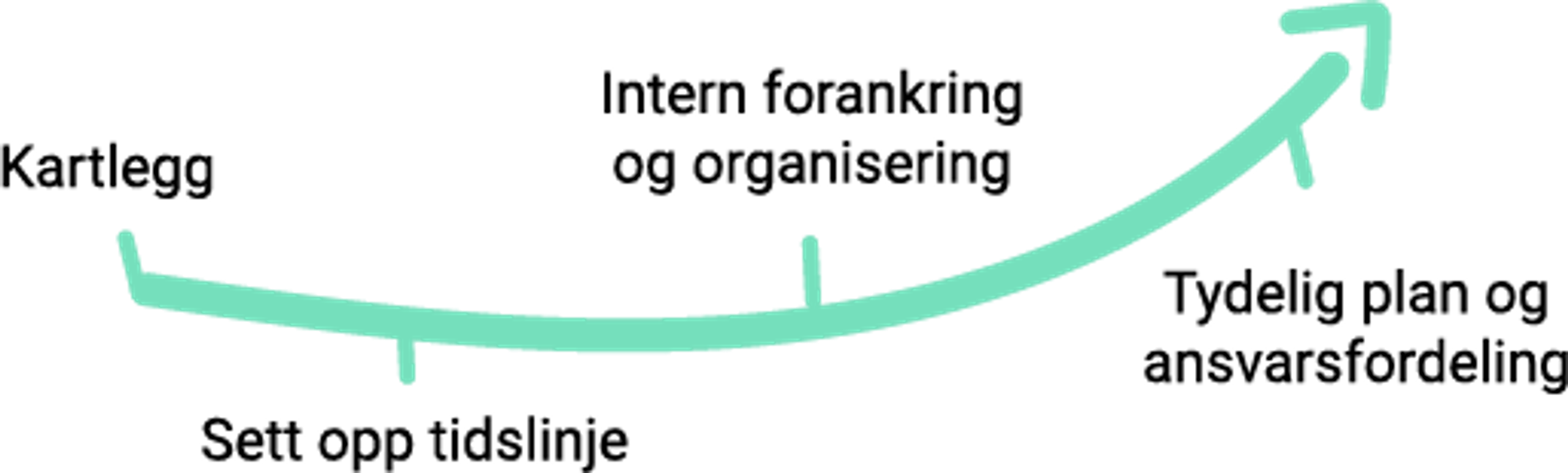 Stegviser for ESG: Kartlegg, sett opp tidslinge, intern forankring og organisering, tydelig plan og ansvarsfordeling