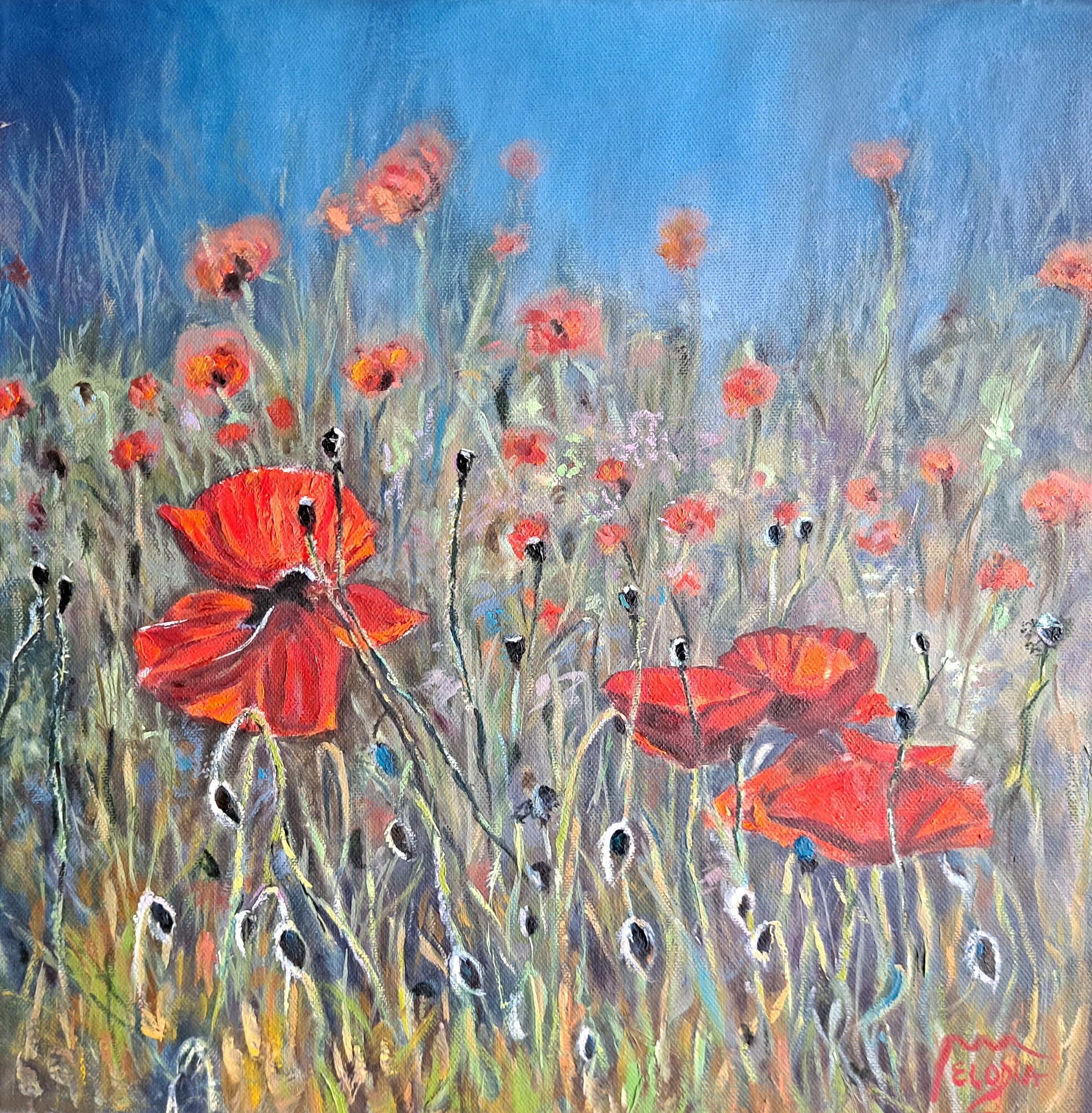 Pintura de Fergoarte - Amapolas