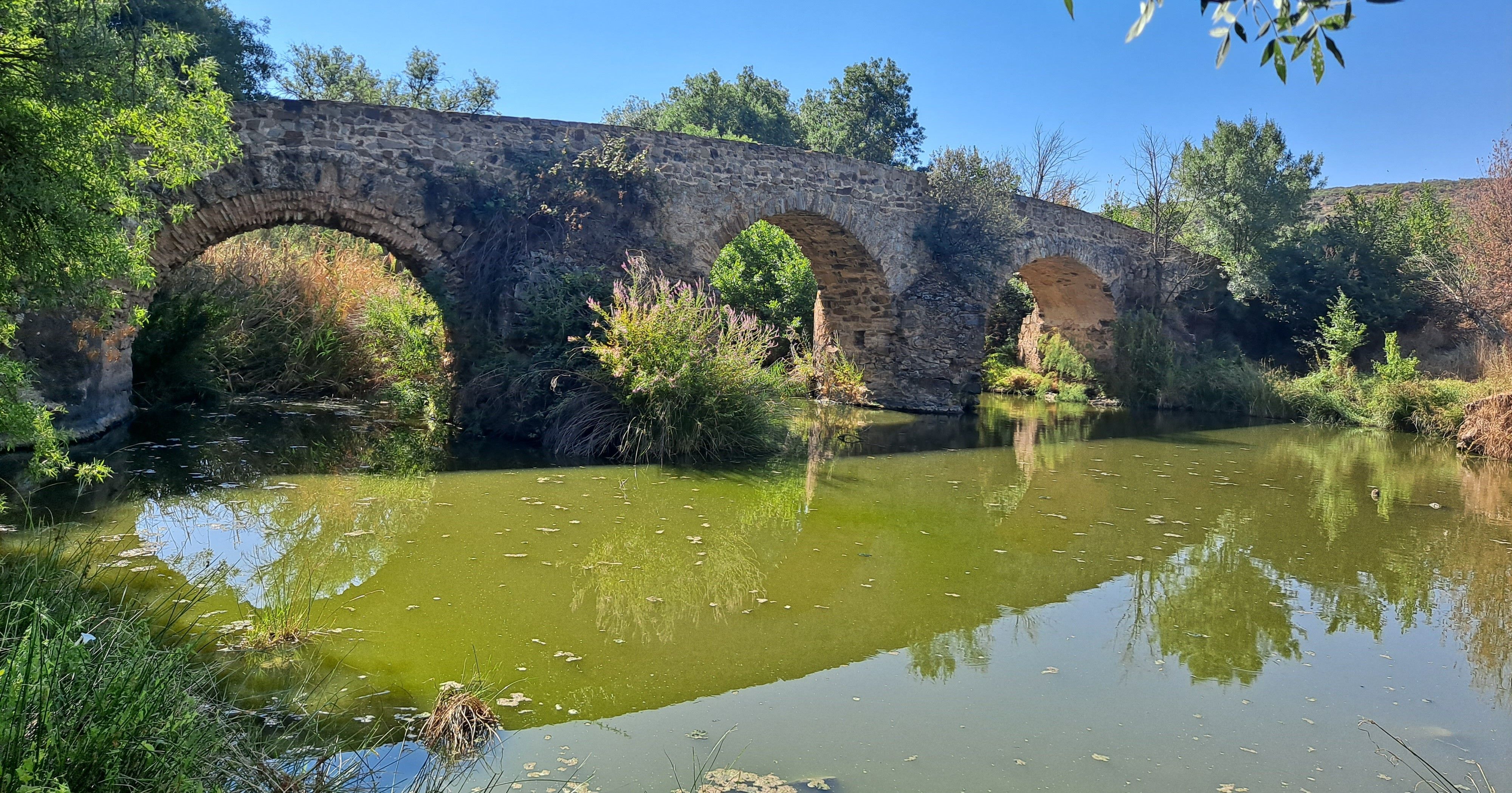 Pintura de Fergoarte - El puente de las ovejas-Corral de Calatrava -Ciudad Real-