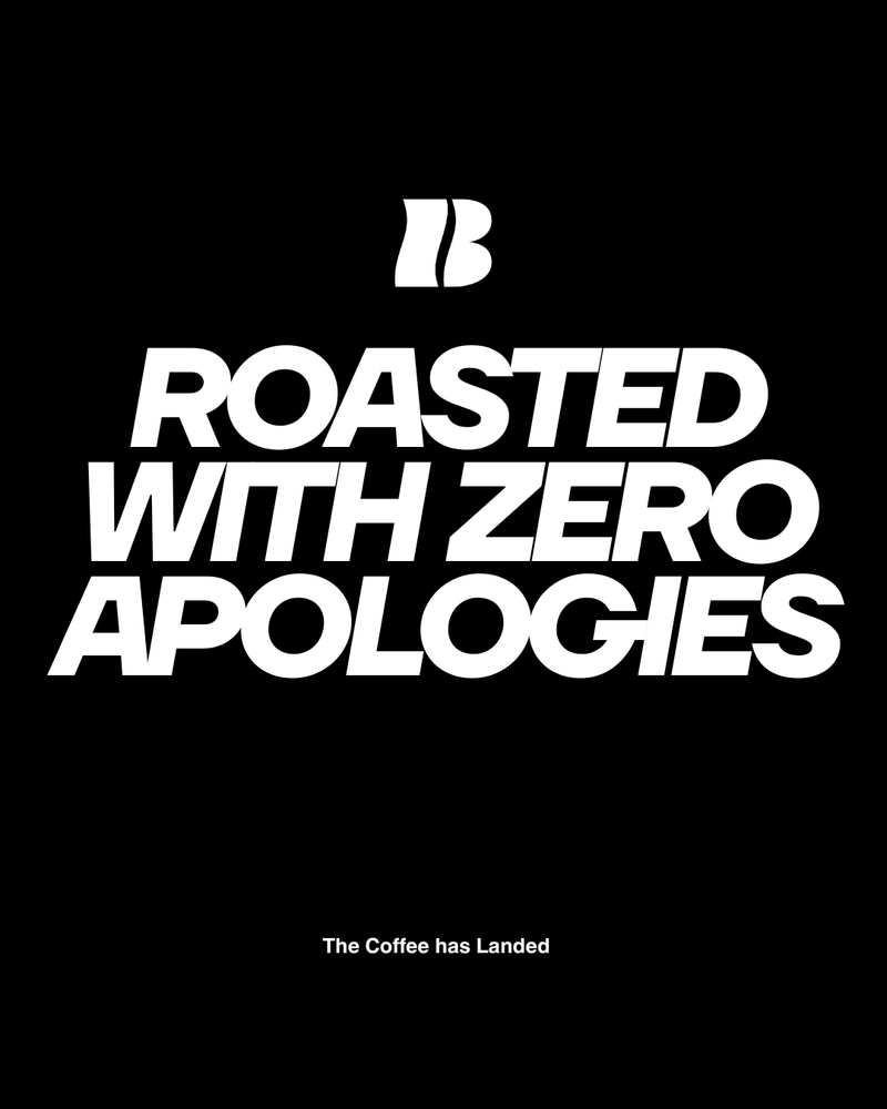 V8 ROASTED WITH ZERO APOLOGIES