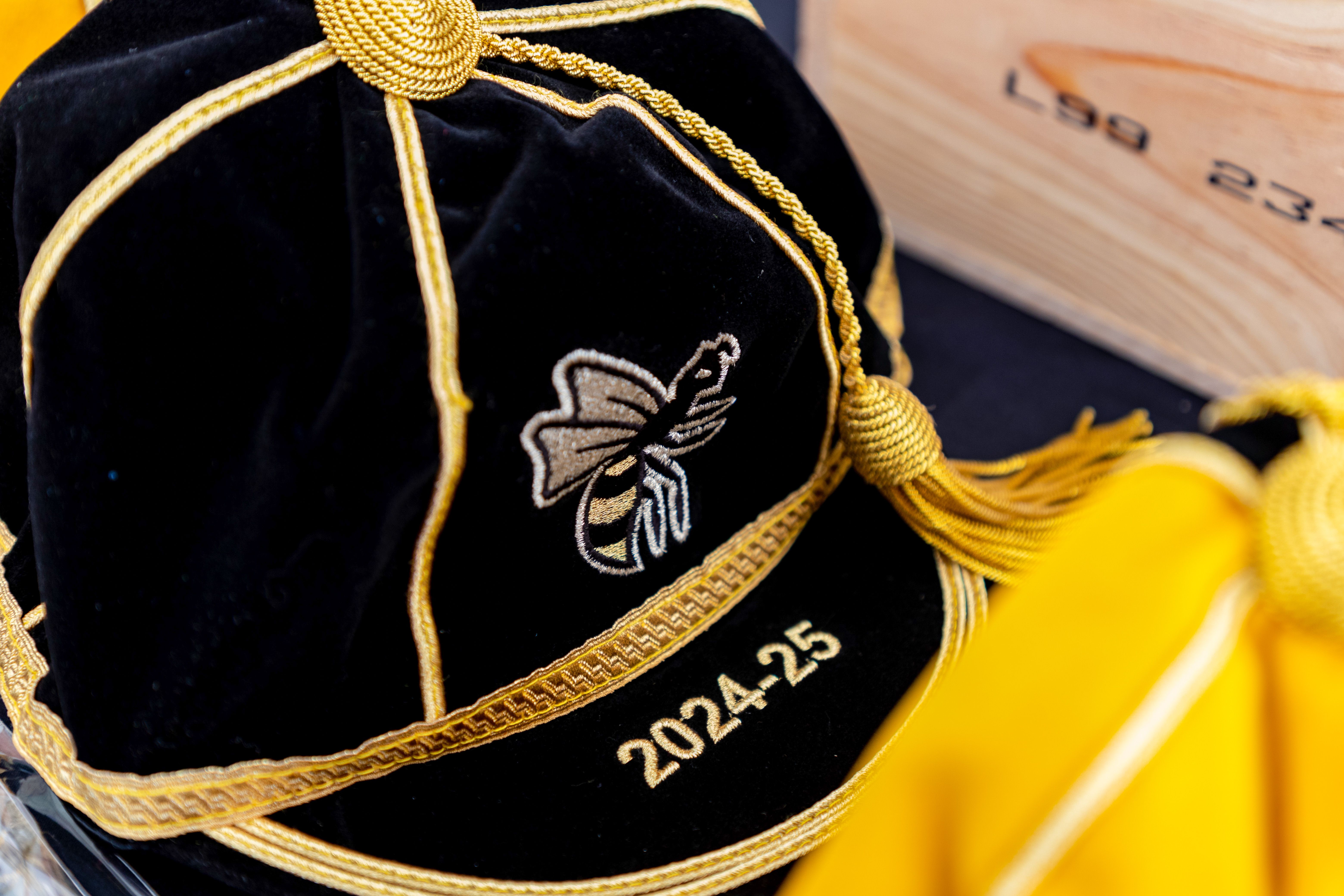 Wasps Summer Swarm Cap