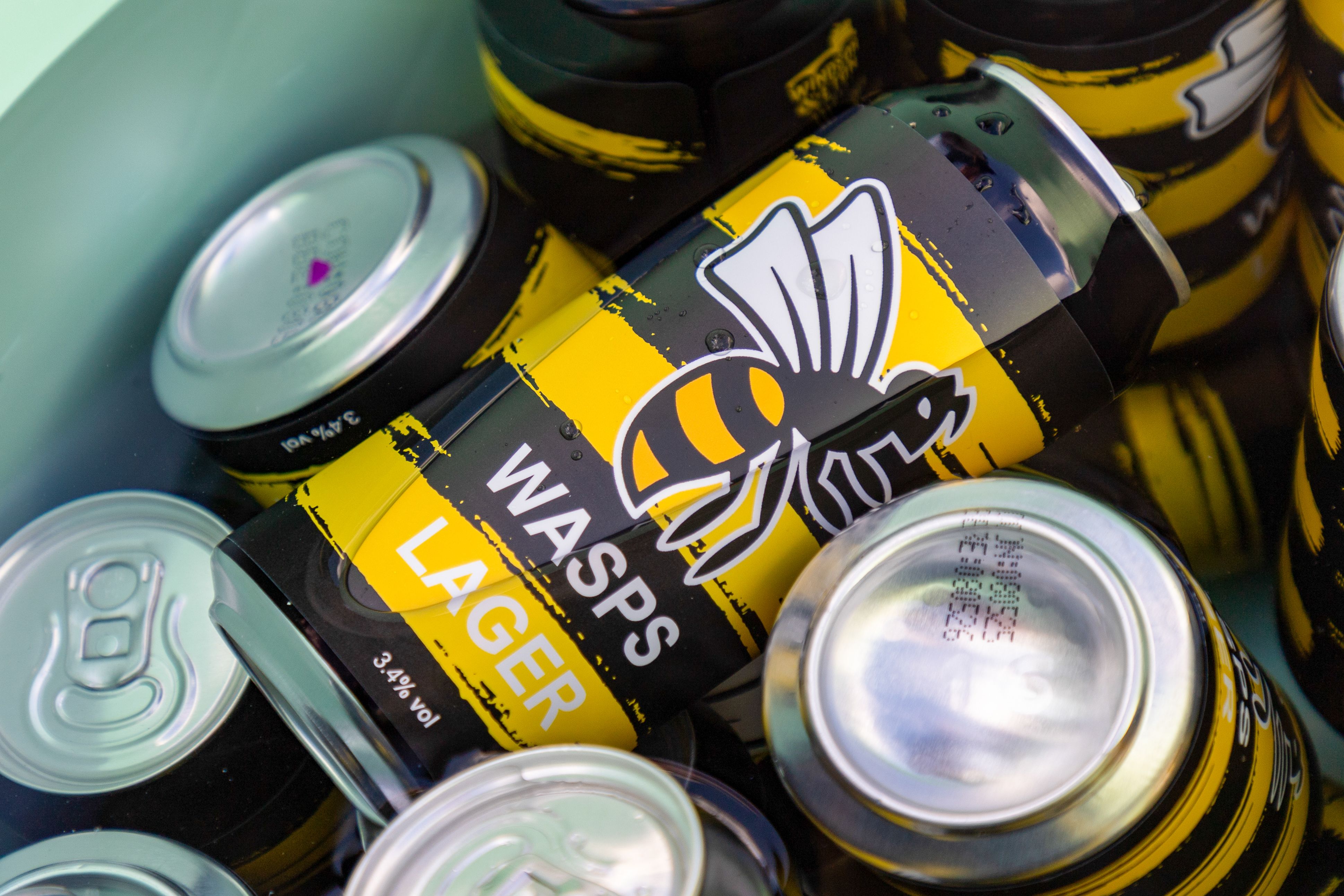 Wasps Lager