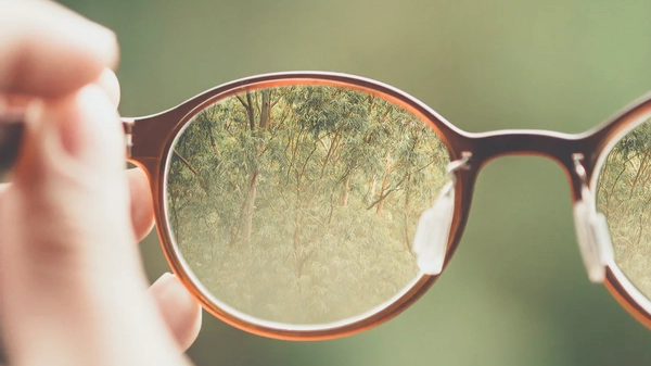 Eye glasses seeing forest clearly