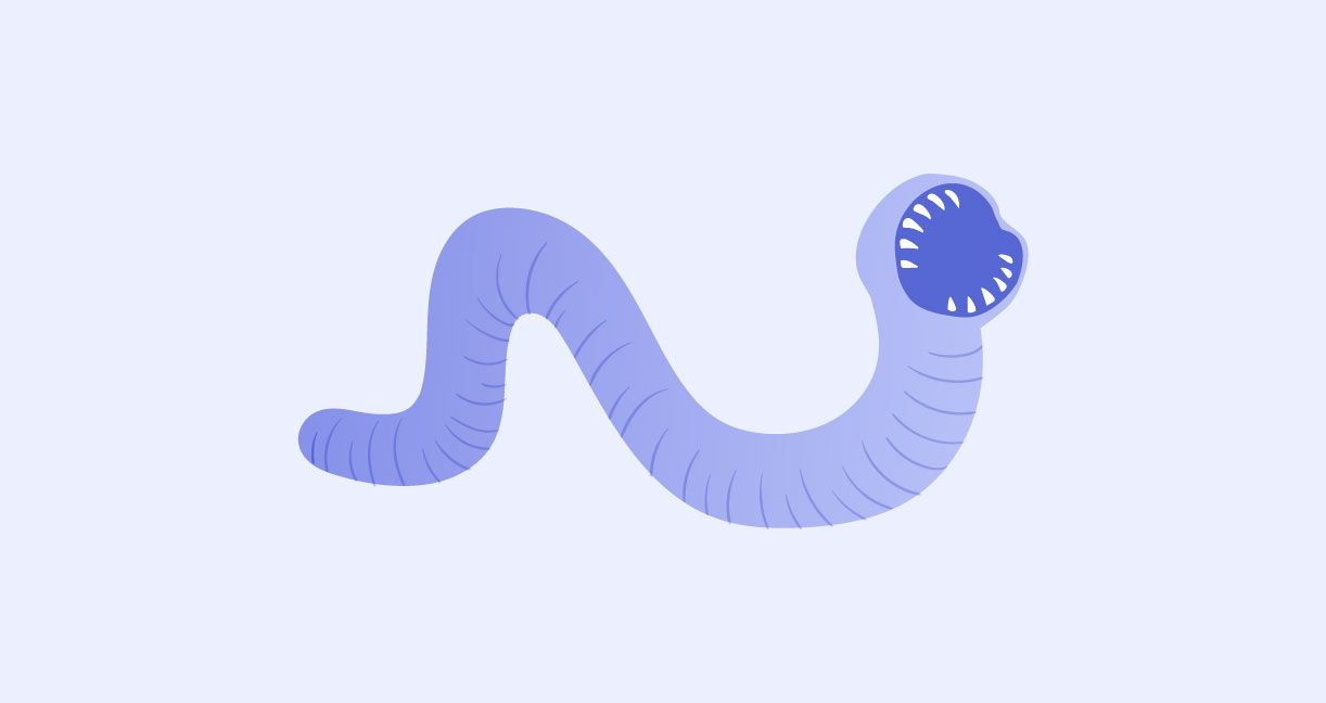 Inside the Shai-Hulud 2.0 npm IDE Attack Wave