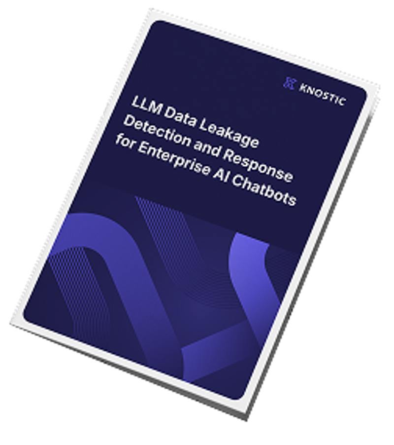 Solution Brief: LLM Data Leakage