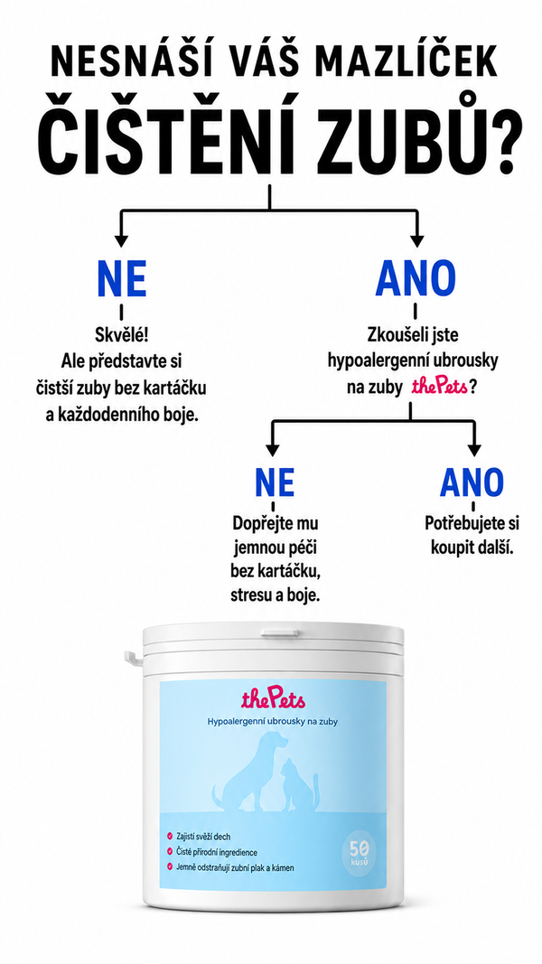 Ukázka reklamní kreativy Omniloop pro Meta Ads