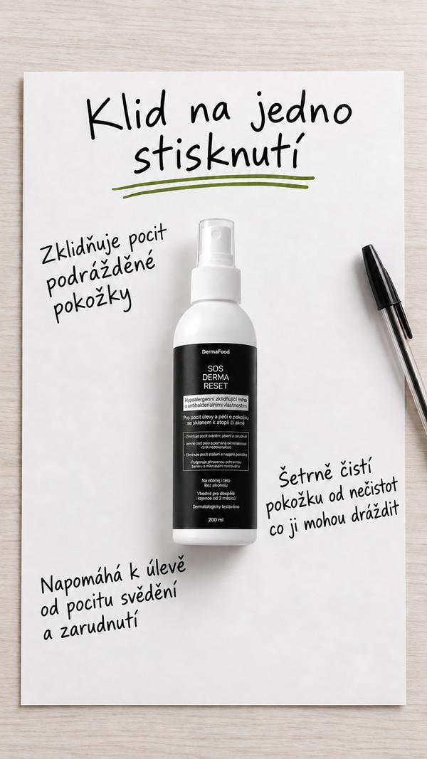 Ukázka reklamní kreativy Omniloop pro Meta Ads