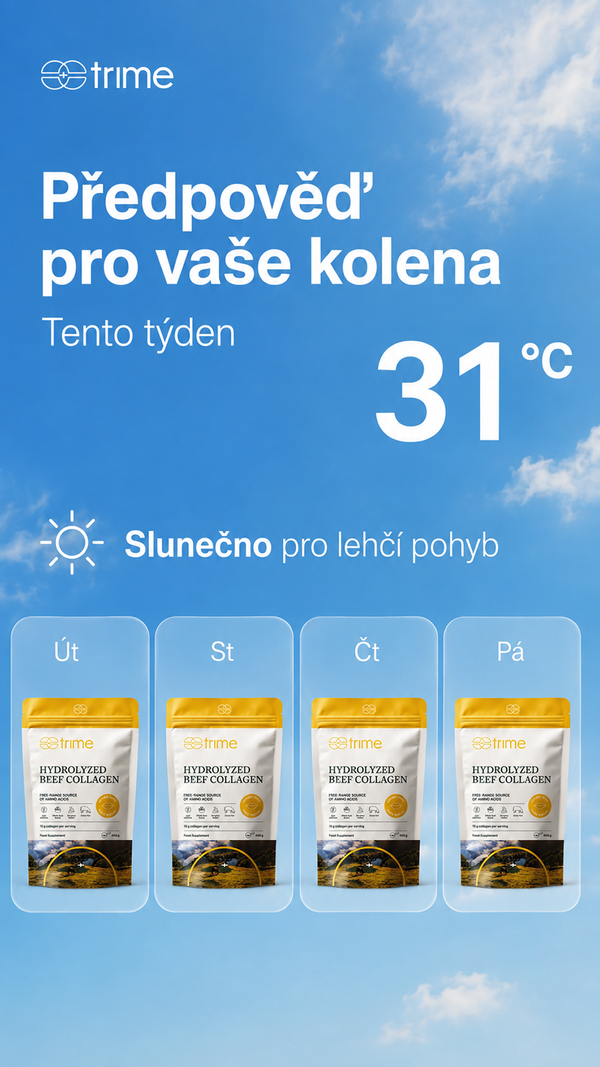 Ukázka reklamní kreativy Omniloop pro Meta Ads