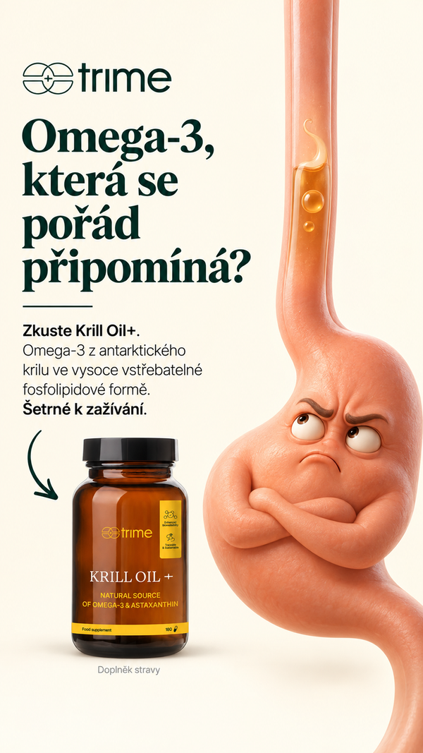 Ukázka reklamní kreativy Omniloop pro Meta Ads