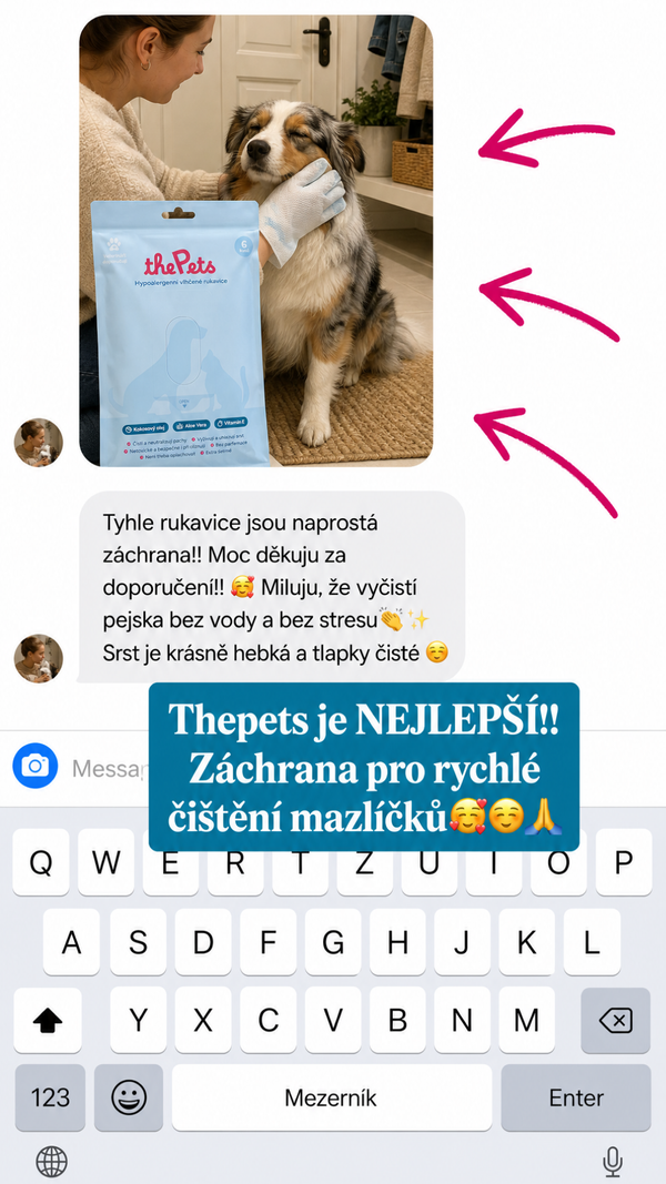 Ukázka reklamní kreativy Omniloop pro Meta Ads