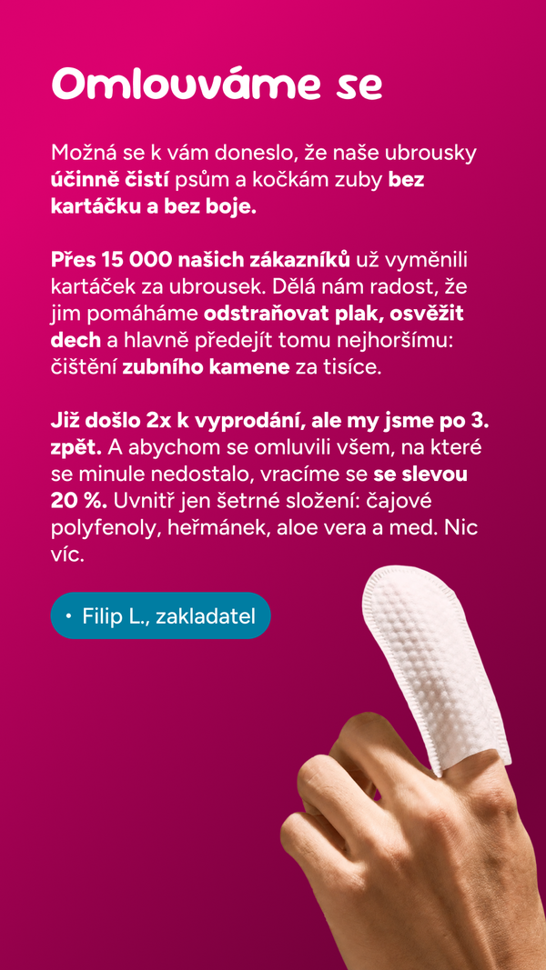 Ukázka reklamní kreativy Omniloop pro Meta Ads