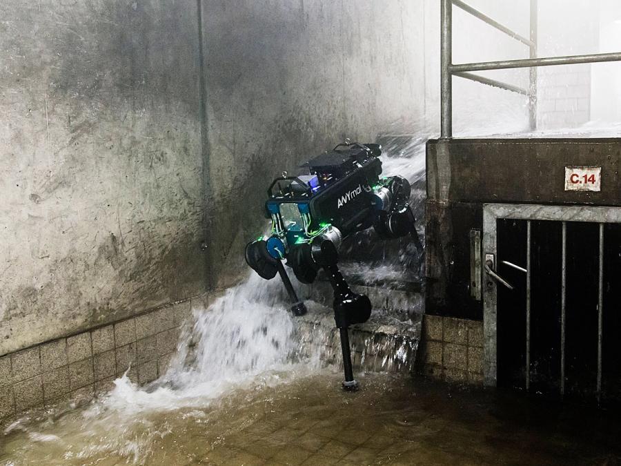 A black four legged robots navigates going down several stairs as water rushes down them.