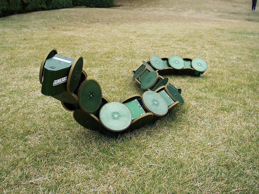 A segmented robot with green circles on grass.