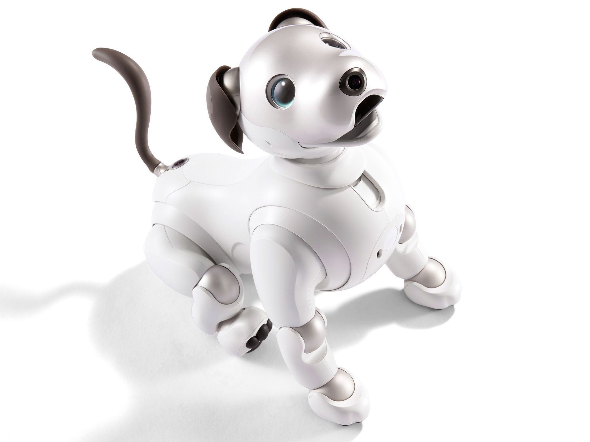 Aibo - ROBOTS: Your Guide to the World of Robotics