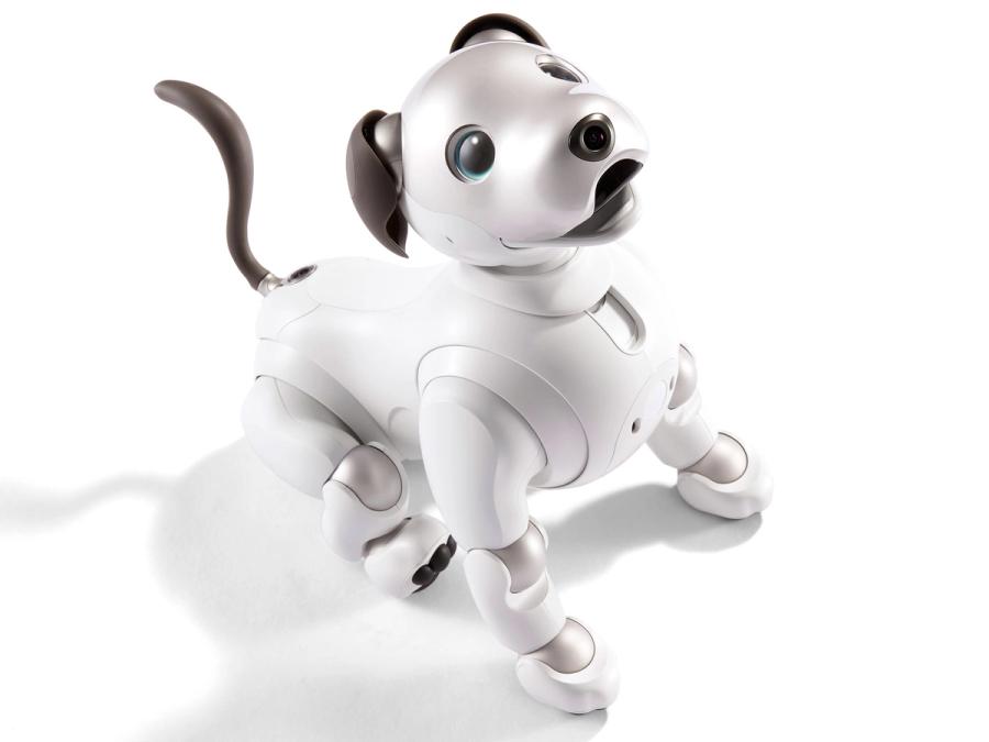 Overhead view of Sony's aibo robot dog.