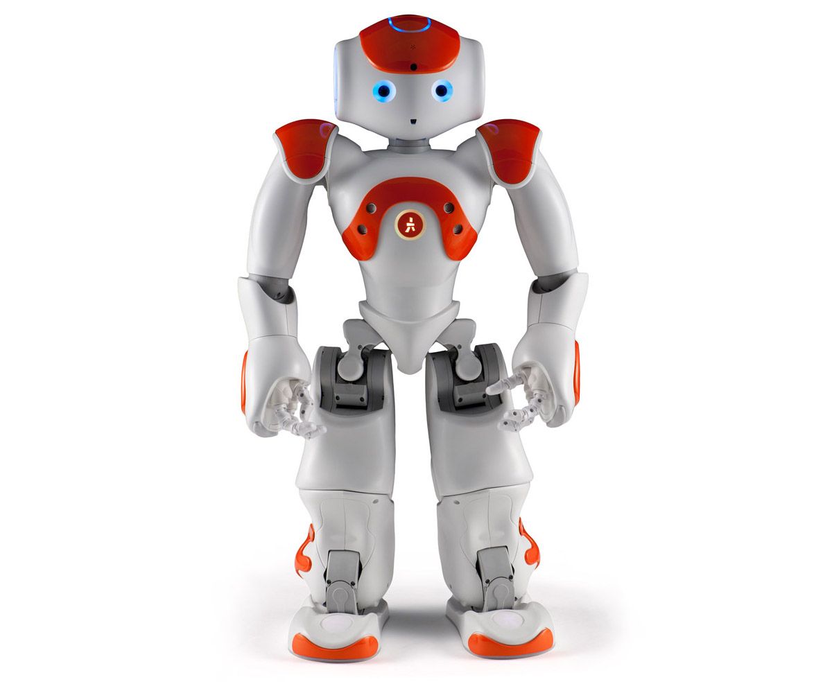 Solskoldning Scan plade Nao - ROBOTS: Your Guide to the World of Robotics