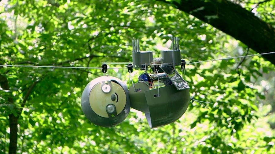 This robot lives among the trees.