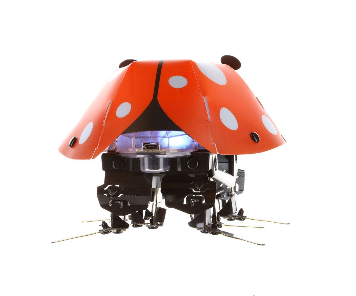 Kamigami Ladybug By Mattel Barnes Noble®