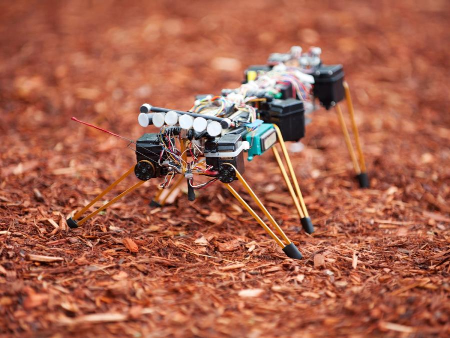 A hexapod robot with simple yellow legs and a rectangular body full of wires and electronics.