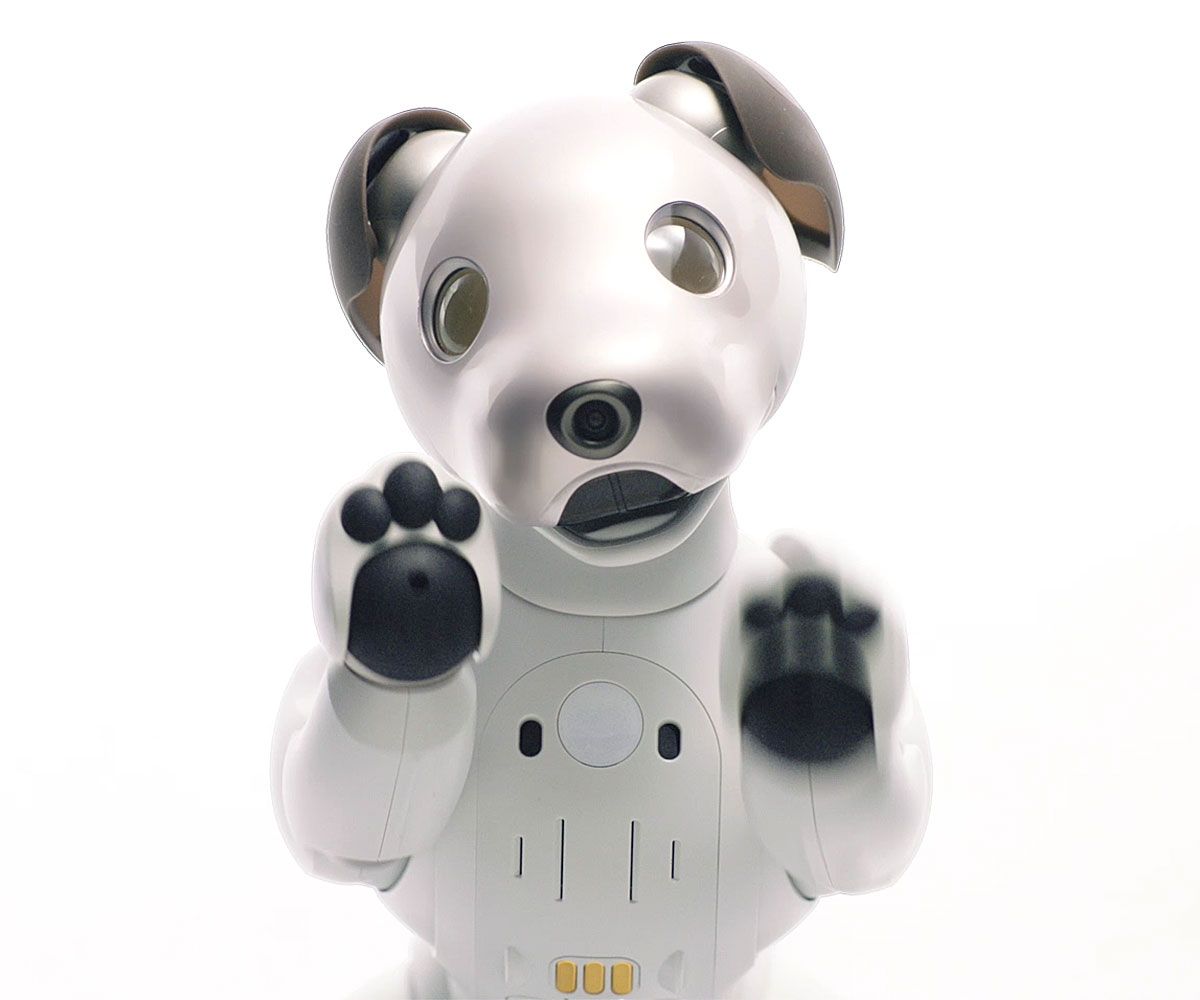 Aibo - ROBOTS: Your Guide to the World of Robotics