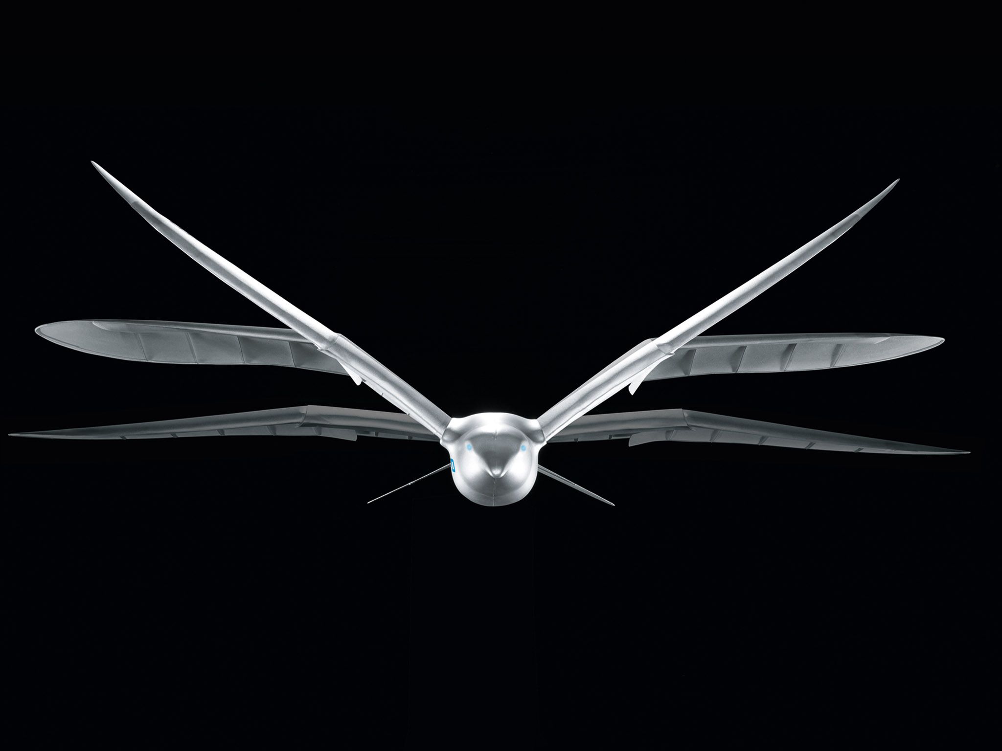 festo bird drone