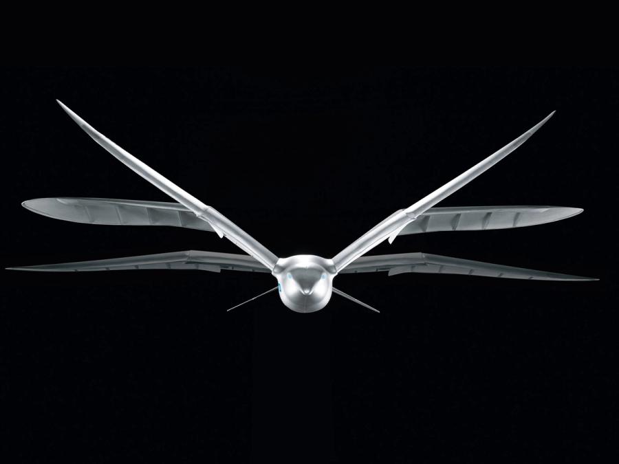 A multiple exposure image shows the robotic gull's wings flapping.