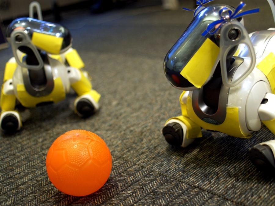 Two colorful robotic dogs look at a small orange ball that looks like a miniature soccer ball.