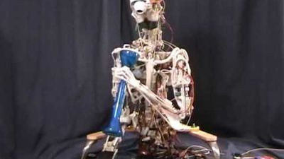 Meet ECCE, an "anthropomimetic" robot.