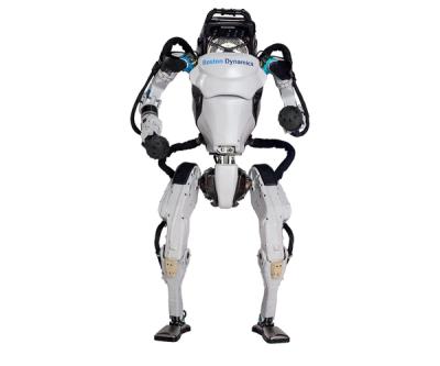 360° spin of an advanced looking two legged humanoid robot.