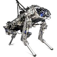 A metallic and high-tech looking quadruped robot.