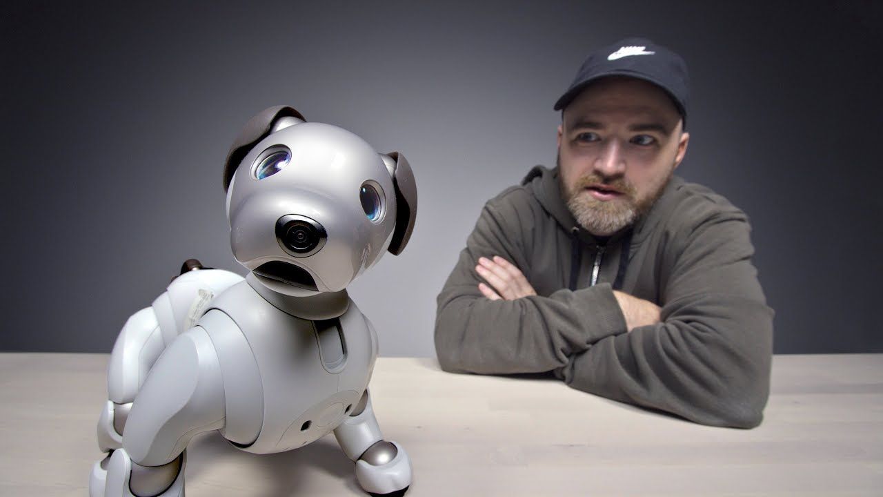 Sony Aibo Review: What It's Like To Live With a $2,900 Robot Dog