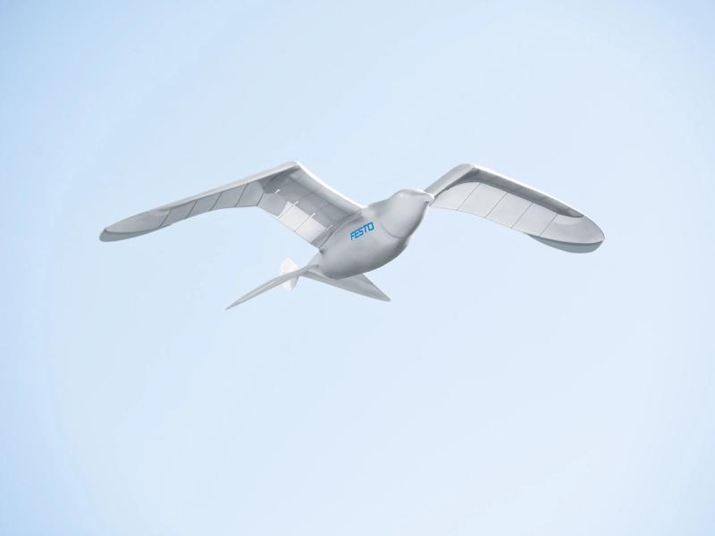 A a white robotic seagull labelled FESTO flies across a blue sky.