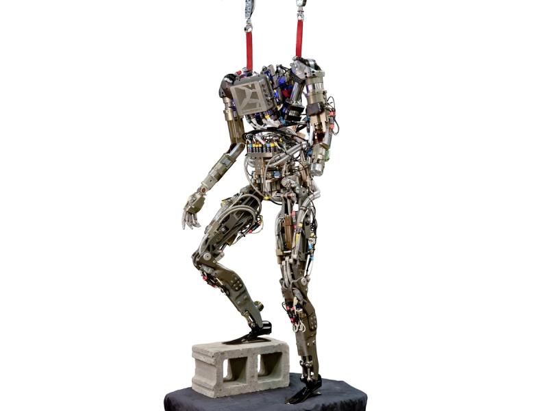A complex humanoid bipedal robot climbs up on a concrete block. A harness holds it up. All of its wires, actuators and sensors are exposed.