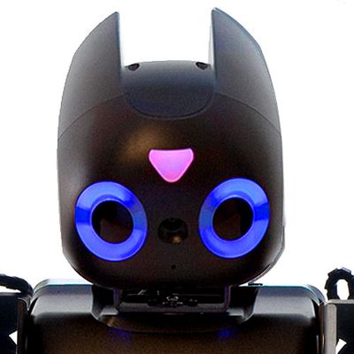 Qrio - ROBOTS: Your Guide to the World of Robotics