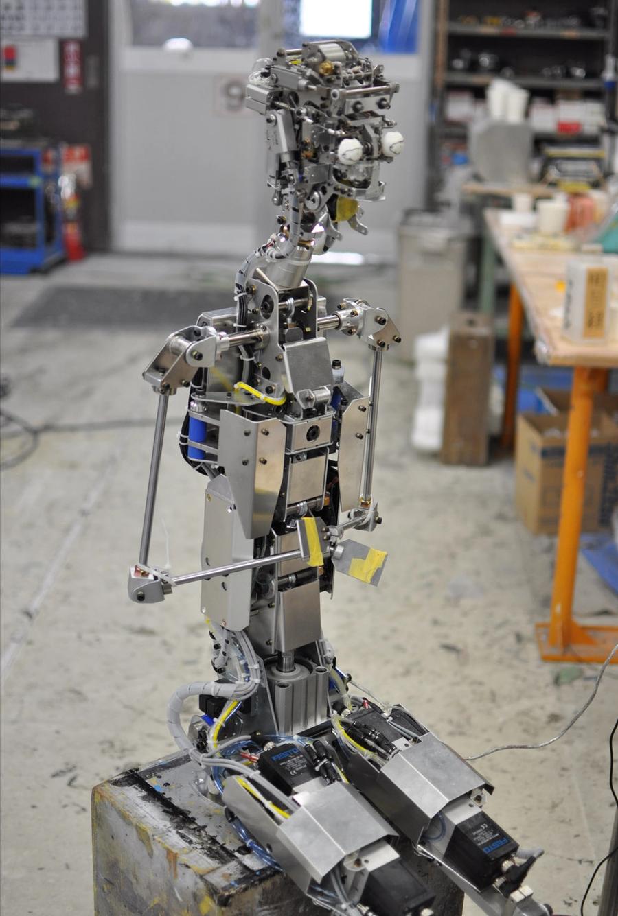 Full body view of the seated metal and electronic skeleton of the robot.