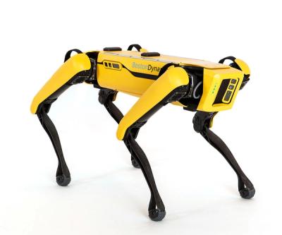 A black and yellow quadruped robot with a face that is a yellow square full of sensors does a dance.