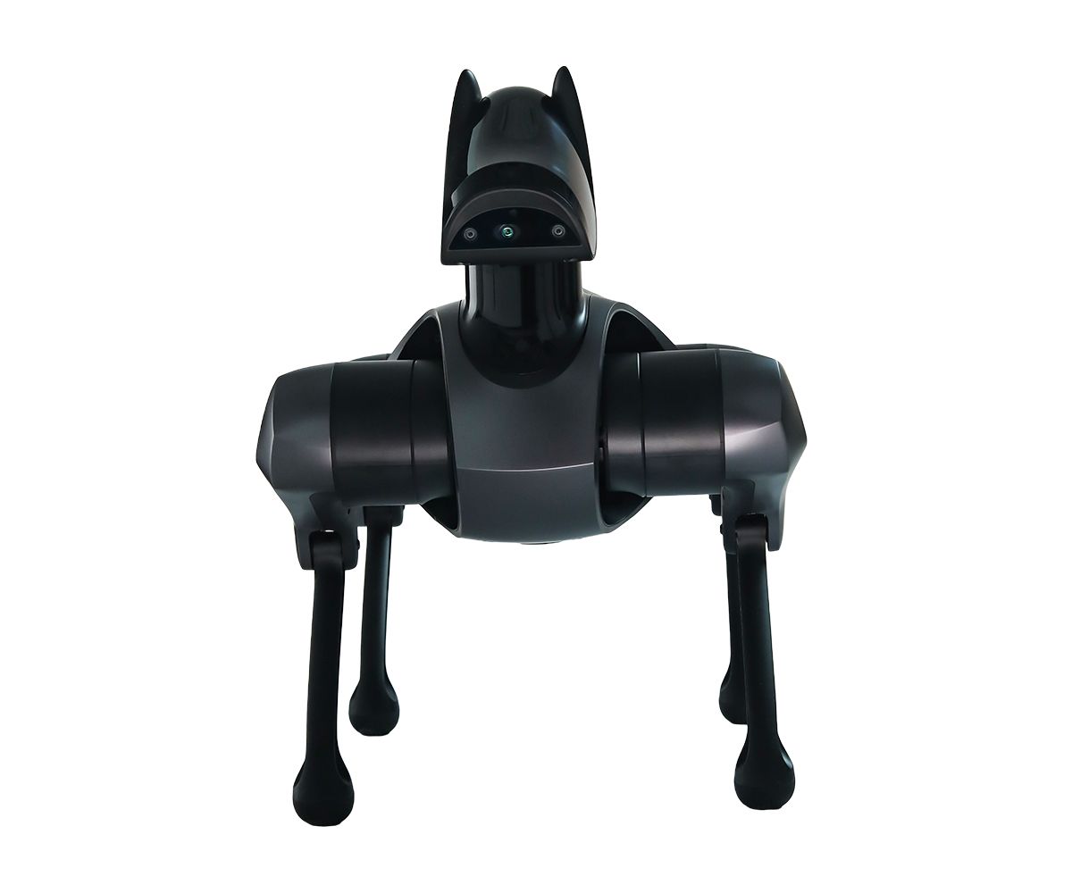 A spinning view of a black and silver robot dog.