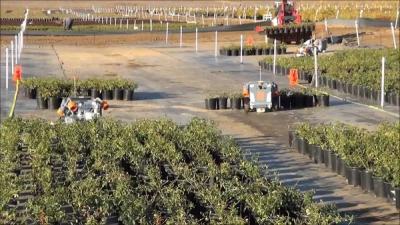 Robots move plants at a California facility.