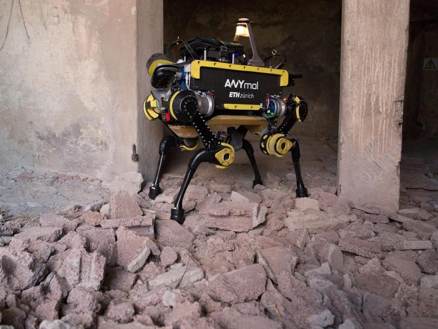 A black and yellow four legged black robot stands on piles of rubble.