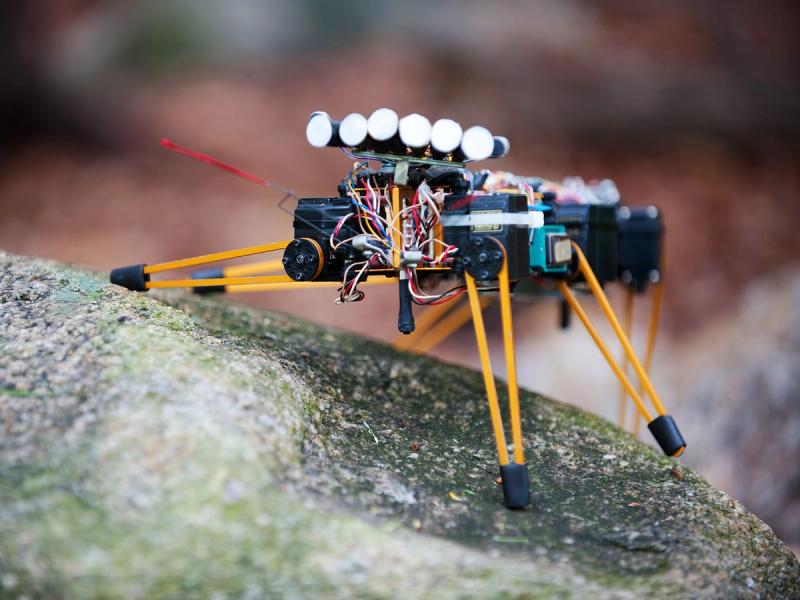 An insect like hexapod robot on a rock. 