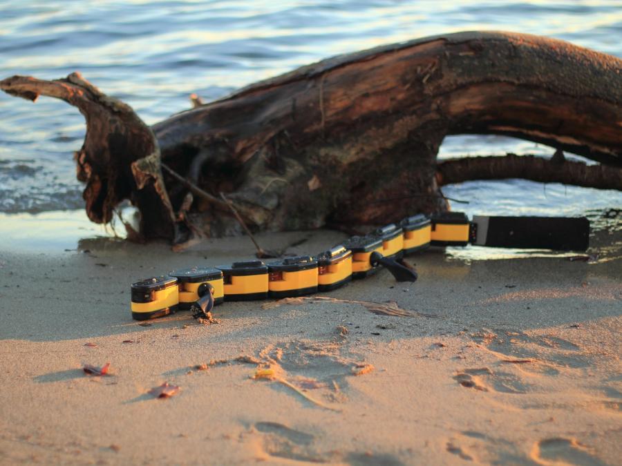 A salamander-inspired robot strolls on the beach next to a large log and water.