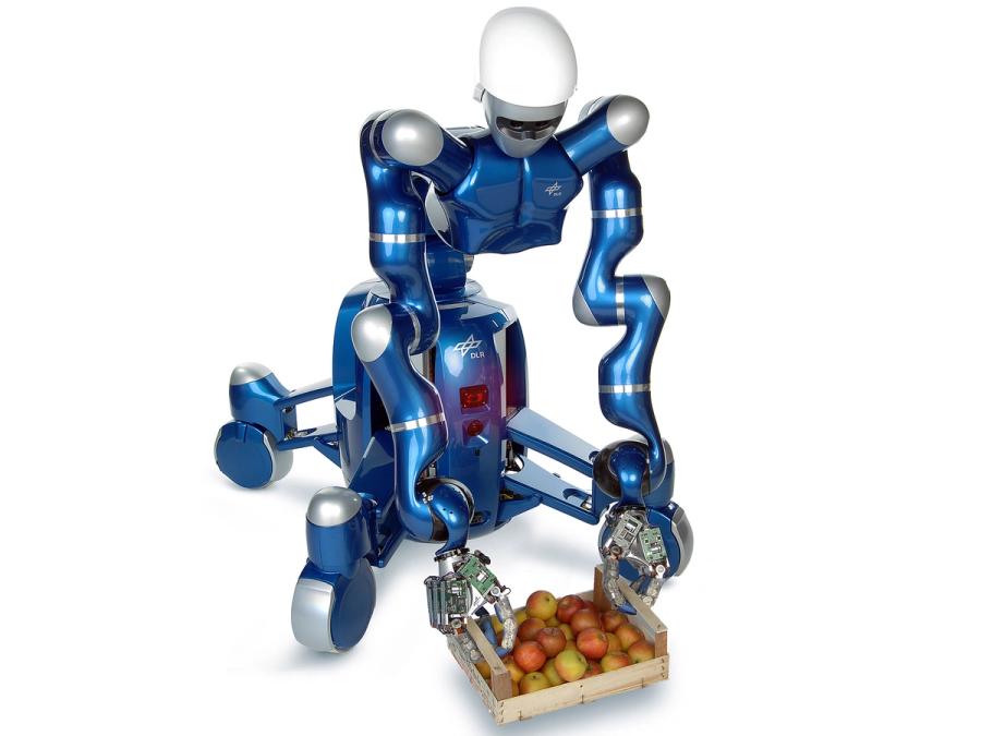 The robot is bent over to place a tray of fruit on the ground.