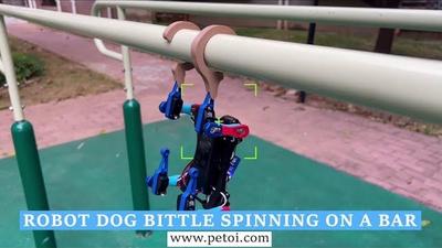 Small plastic robot dog Bittle uses special hooks on its feet to hang on a pull-up bar.