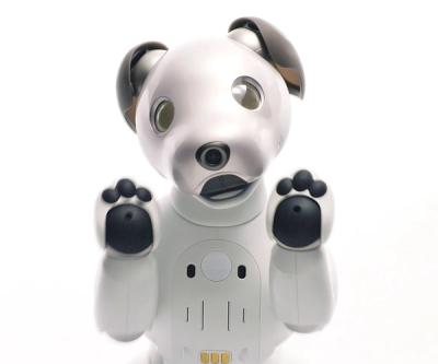 A series of images of a white robotic Aibo dog moving it's paws around.