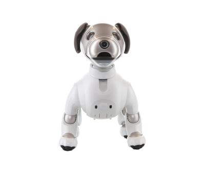 A 360 degree view of Aibo, a white robot dog which playfully moves around as it spins.