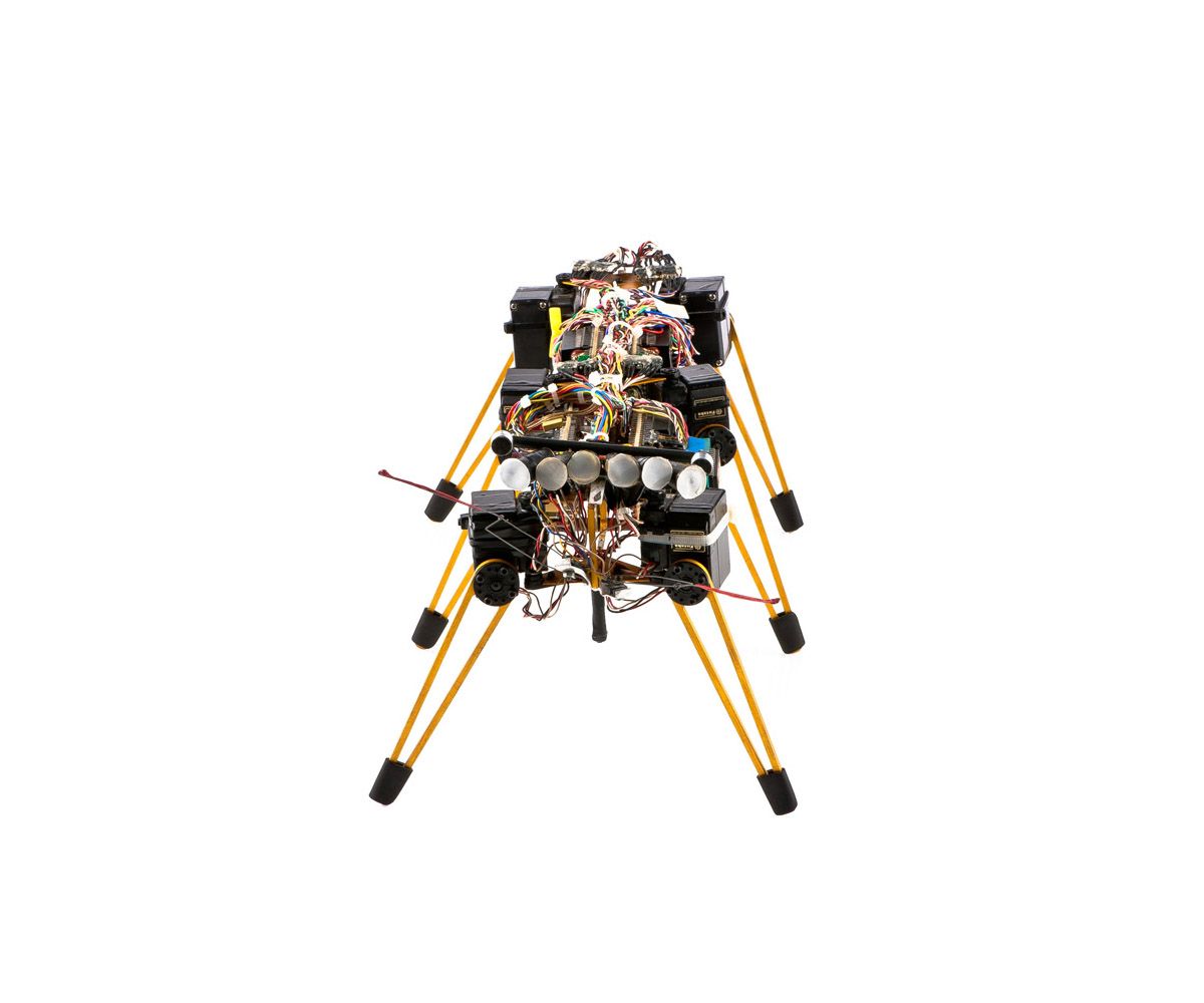 A series of photos rotate a hexapod robot with padded yellow legs and a rectangular body full of wires and electronics.