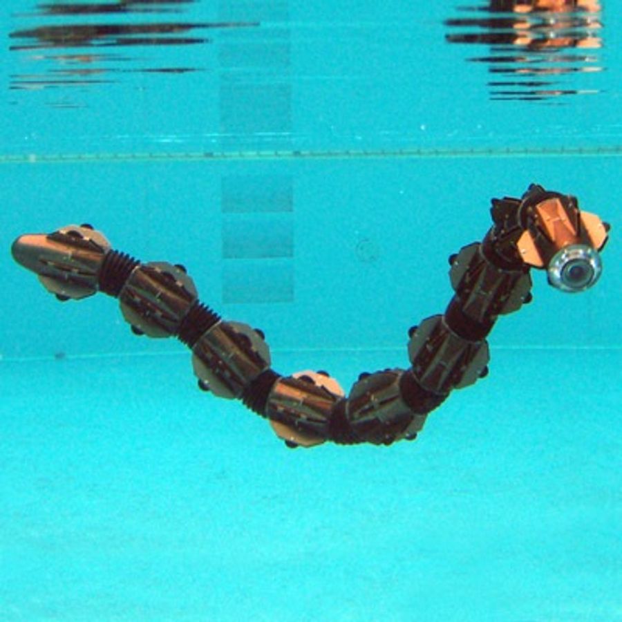 A segmented snake-like robot underwater.