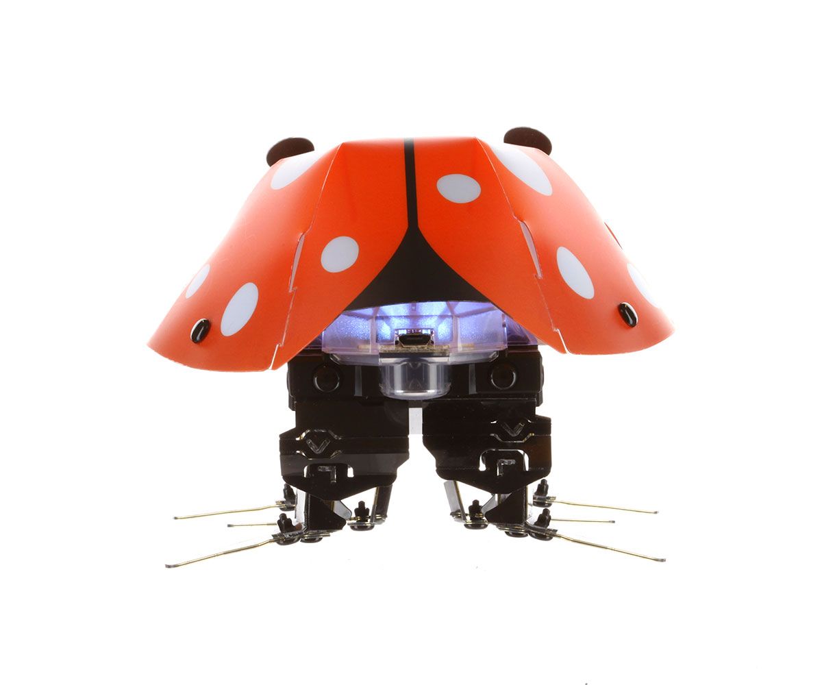 mini kit robot ladybug